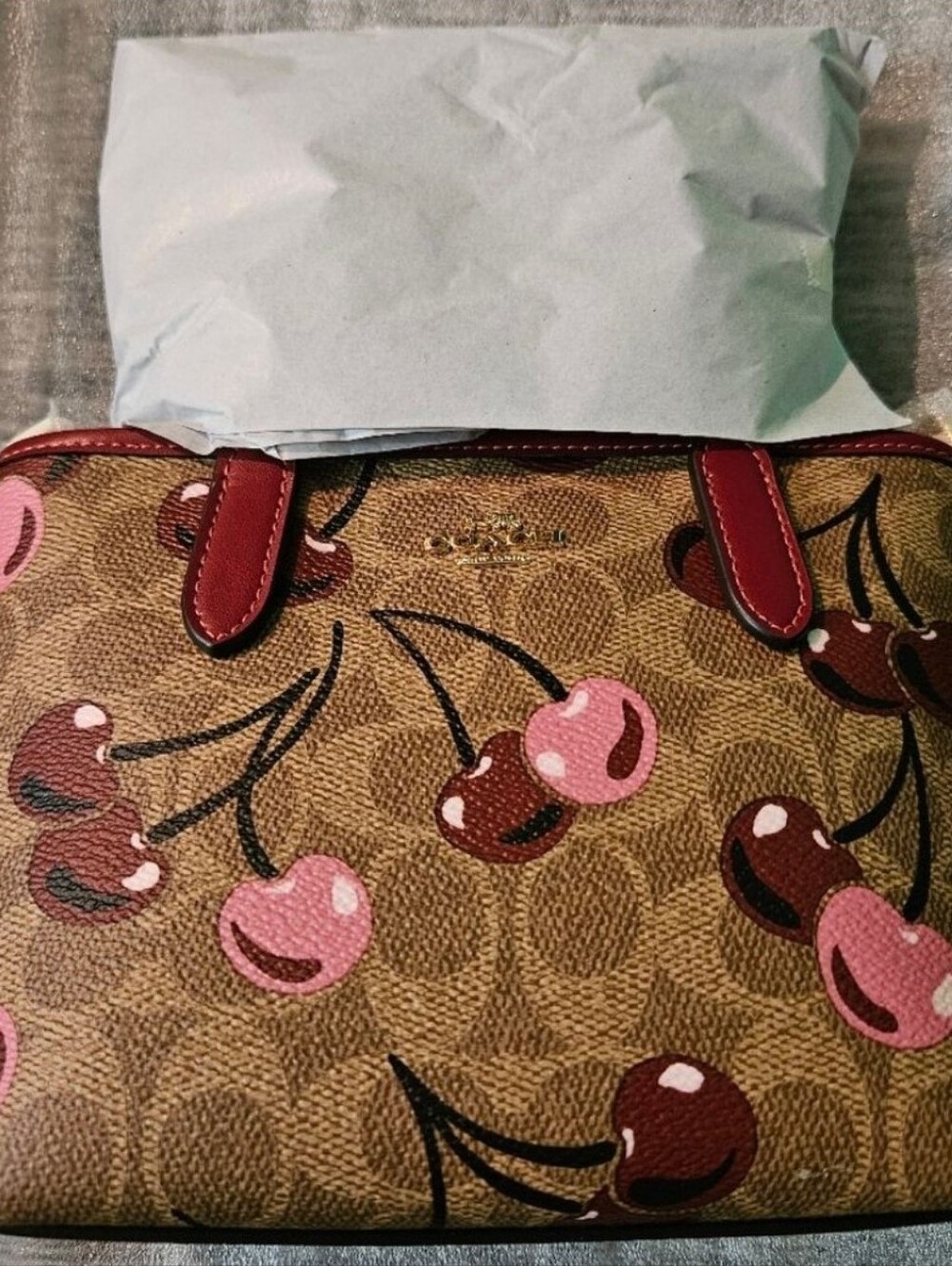 Coach Bag